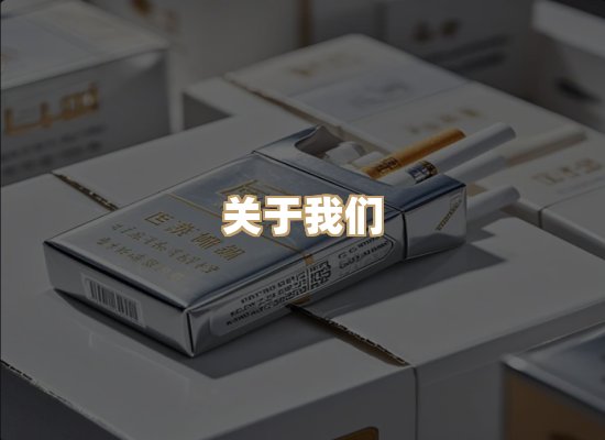关于蓝帝网
